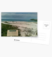 Nothing Happened Postcards