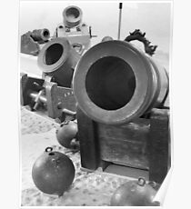 Cannon Family Portrait in BW. Chateau de Morge, Switzerand Poster
