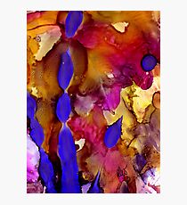 Streamers Photographic Print