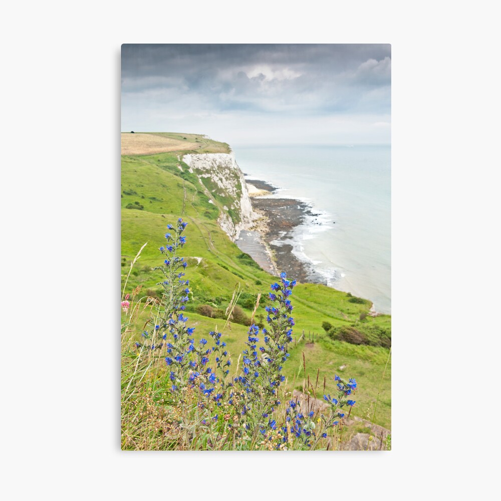 White Cliffs of Dover Canvas Print