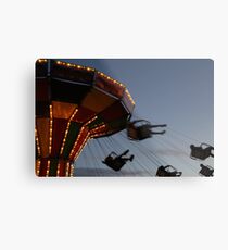 Flying Metal Print