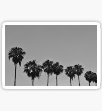 B+W Palms Sticker