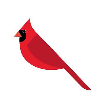 Premium Vector  Blue jay bird and red cardinal bird cartoon