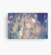 Outback Wildflower Canvas Print