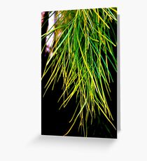 brush Greeting Card
