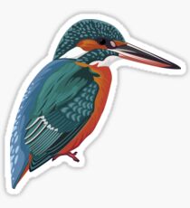 Kingfisher Sticker