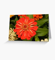 Fiery Flirtation Greeting Card
