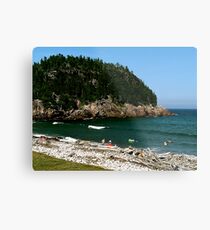 Swim at Black Beach ! Metal Print