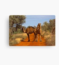 Track Trolls Canvas Print