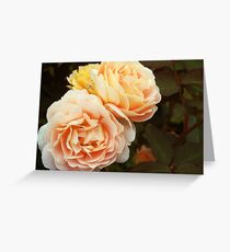 Trio Greeting Card
