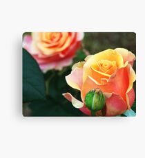 Peace and Beauty Canvas Print