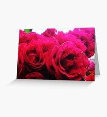 Dewy Beauty Greeting Card
