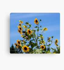 Busy Bees Canvas Print