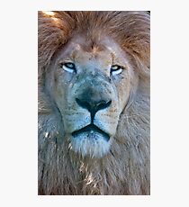 Casper Photographic Print