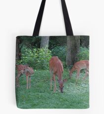 Mommmy Deerest and Her Twin Fawns Tote Bag