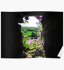 A Flowery Perspective Poster