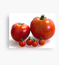Happy Tomato Family Canvas Print