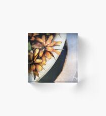 More Formal Gardens Acrylic Block