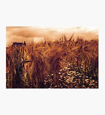 A rural view Photographic Print