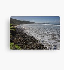 From west of Fairhaven to east 20130607 5266 Canvas Print