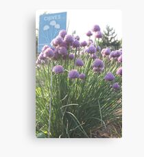 Chives Canvas Print