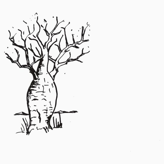 Boab Tree Drawing: Stickers | Redbubble