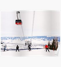 Big Red Soars Above Poster