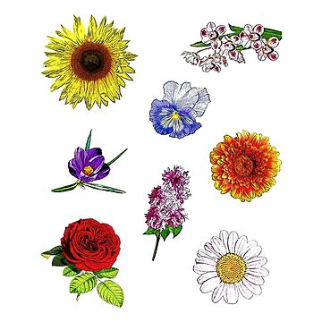 Vintage Colorful Flowers Sticker for Sale by CustomPrintHub