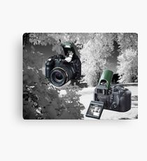 ☀ ツMY FUGIFILM Is-1 INFRARED CAMERA INSIDE,PICTURE TAKEN WITH THE INFRARED CAMERA ☀ ツ Leinwanddruck