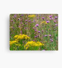 Wild Flowers Metal Print