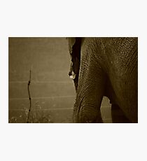 Aged Photographic Print