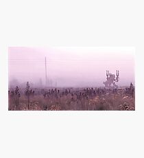 Maltemann Daktyl Photographic Print