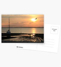 Flying Bird Postcards