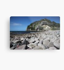 DimSum Island Metal Print