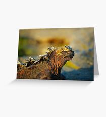 Marine Iguana Greeting Card