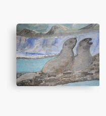 Cold weather Metal Print
