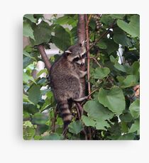 TREE HUGGER Canvas Print