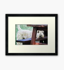 Bored Framed Print