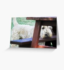 Bored Greeting Card