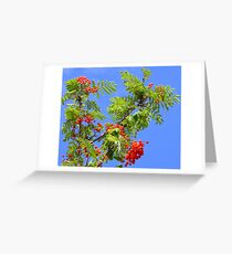 Red, Green And Blue Greeting Card