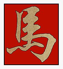 Chinese Zodiac Sign Wood Horse 2014 & 1954 Photographic Print