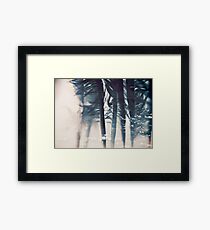 emotion: wishes Framed Print