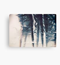 emotion: wishes Canvas Print