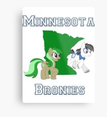 Minnesota Bronies Metal Print