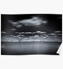 Surreal - Lake Pinaroo, NSW Poster