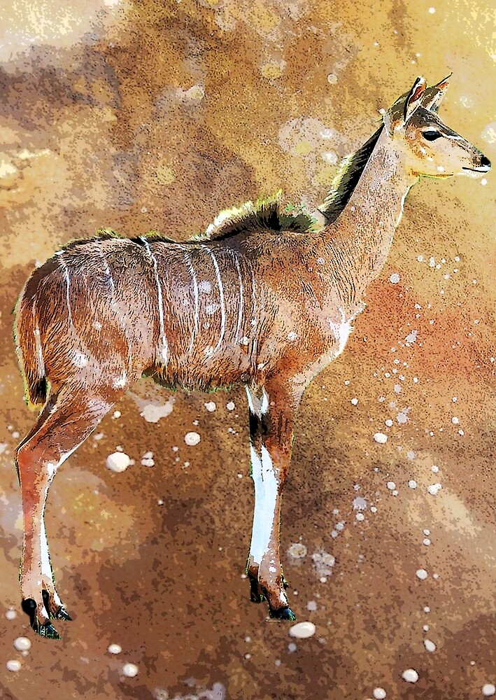  NYALA  by Tammera Redbubble