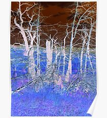 Blue Forest Poster