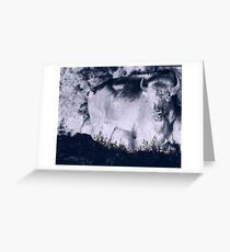 White Buffalo Greeting Card