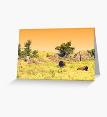 Buffalo Landscape Greeting Card