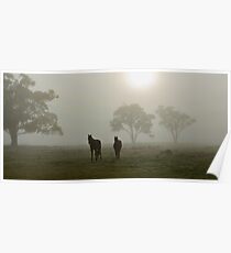 Horses in the Mist - West Ayalong, NSW Poster
